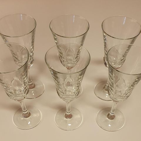 6 stk Vin glass/Champagne glass/Hvitvins glass.