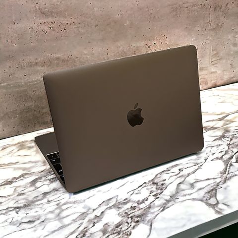 MacBookRetina 12" (2017) | Intel Core i5 1,3 GHz | 512GB SSD