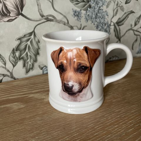 3D Jack Russel terrier