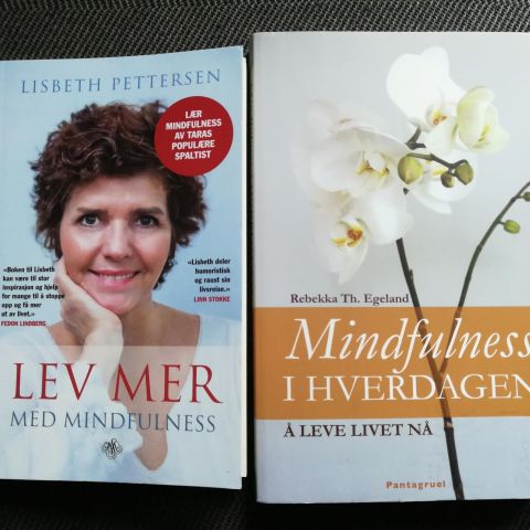 Mindfullness. To fine og informative bøker