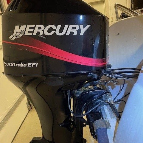 Mercury 60 EFI 2003 deler