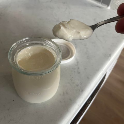 Probiotisk Yoghurt Kulturer