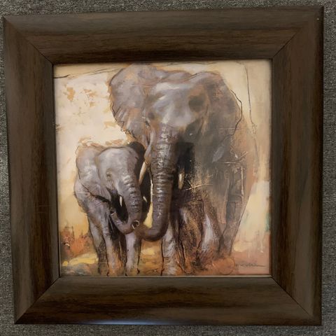 Bilde med elefanter