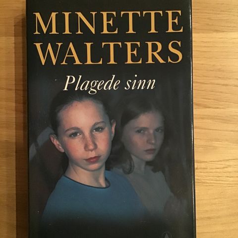 Bok: Minette Walters, Plagede sinn