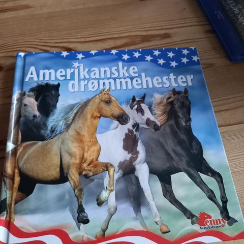 Amerikanske Drømmehester- Penny Klubben- 2002