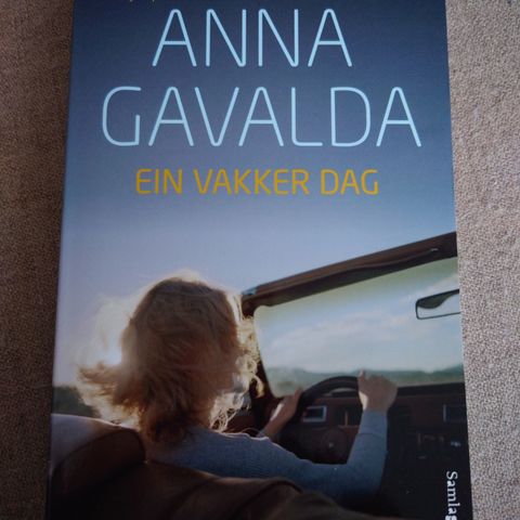 Ein vakker dag av Anna Gavalda