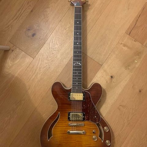 Crafter SEG480TM/VTG-V  Sunburst