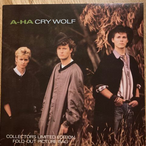 a-ha - Cry wolf