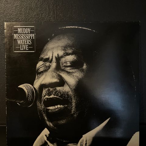 Muddy Waters - Muddy "Mississippi" Waters Live