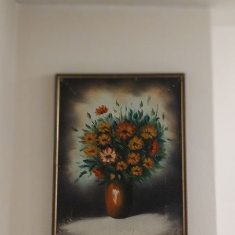 Galleri Picturas