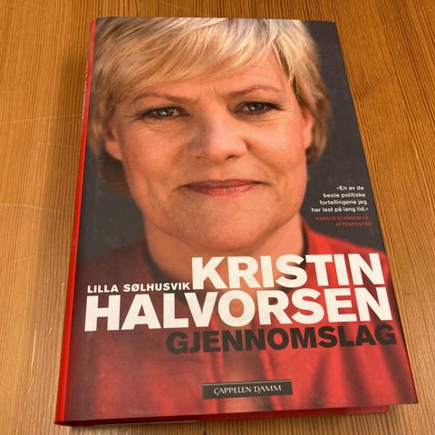 Lilla Sølhusvik : KRISTIN HALVORSEN - GJENNOMSLAG