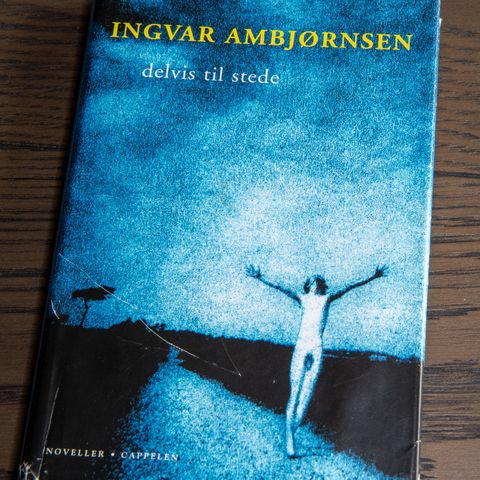 2003 Ingvar Ambjørnsen "Delvis til stede"  Noveller
