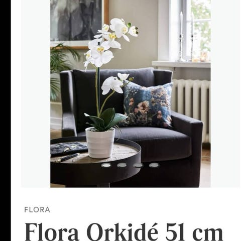 Annonsebilde