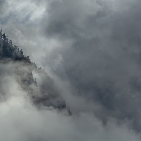 Vinter storm, høst.