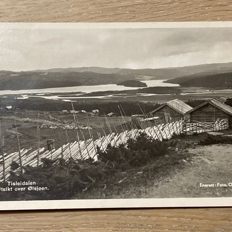 Tisleidalen Utsikt over Ølsjøen / Enerett Foto O. Neste / Leira stasjon 1940