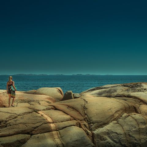 Sommer drøm. Einar Kleveland