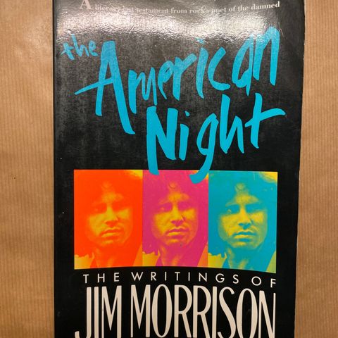 The American night: The writings of Jim Morrison