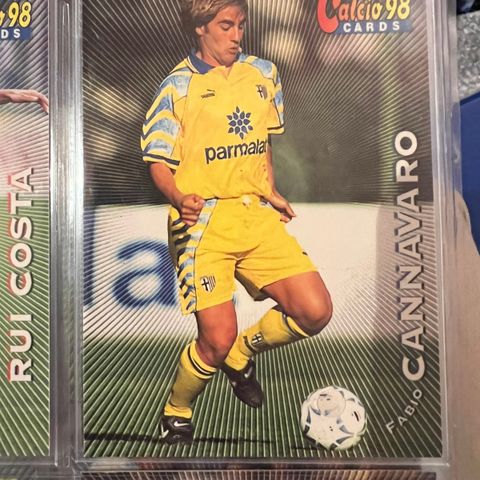 Fabio Cannavaro fotballkort