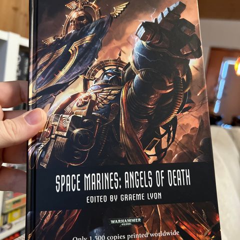 Warhammer - Space Marines: Angels of Death