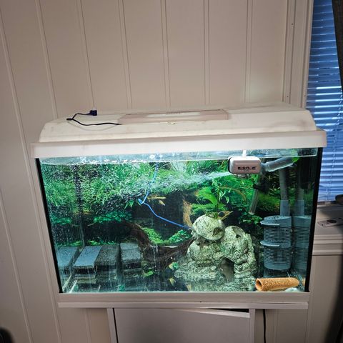 Juwel 70 liter akvarium