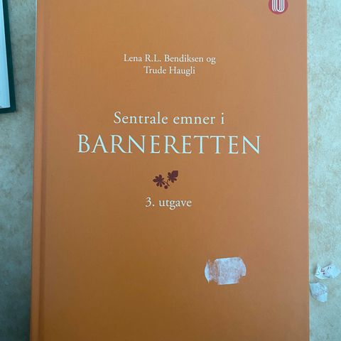 Sentrale emner i barneretten