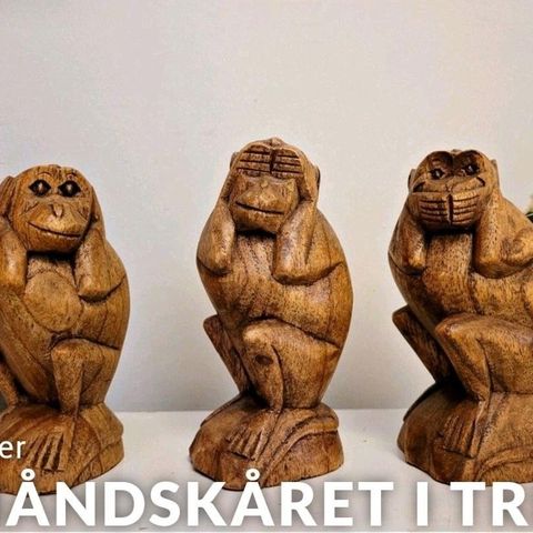 The 3 wise monkeys i tre