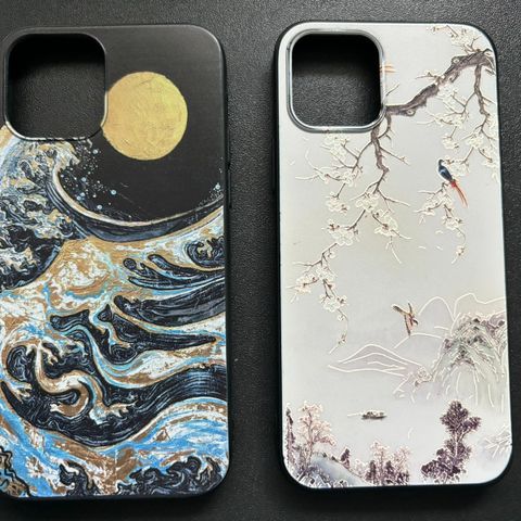 iPhone 12 and 12 Pro case / deksel