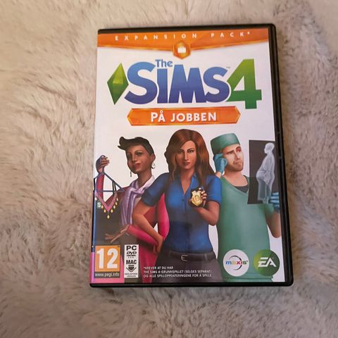 SELGER SIMS 4 PÅ JOBBEN