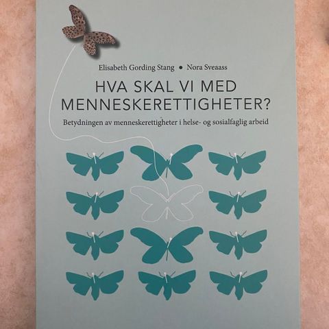 Hva skal vi med menneskerettigheter?