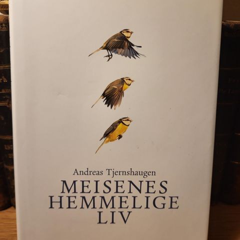 Meisenes hemmelige liv