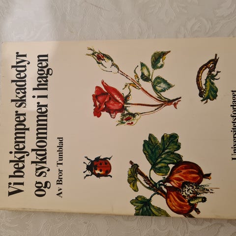 Annonsebilde