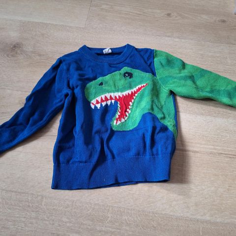 Dinosaur genser str 104