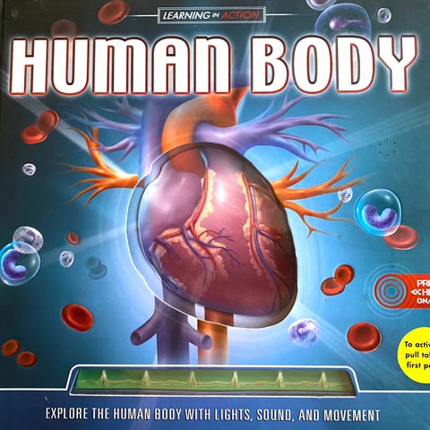 Learning in Action: "Human body". Svært aktiv bok. Engelsk