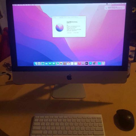 iMac (21.5-inch, Late 2015) (RESERVED)