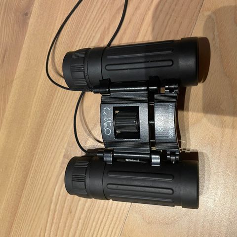 BINoCULARS