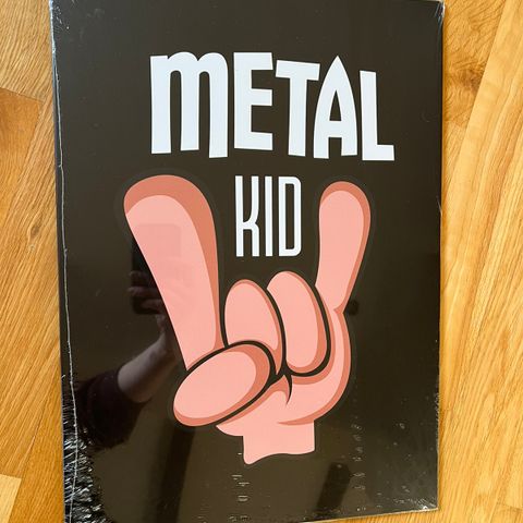 Displate Metal Kid Musikkrommet