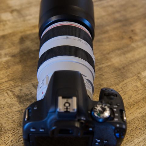 Canon EF 70-300mm f/4-5.6 IS USM zoomobjektiv med beskyttelsespose og solblender
