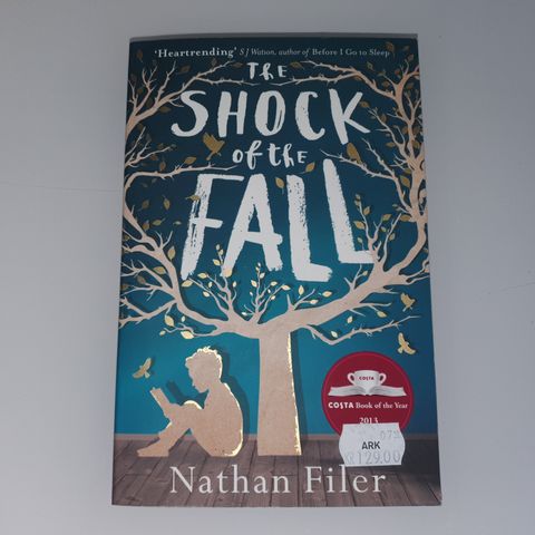 The shock of the fall. Nathan Filer