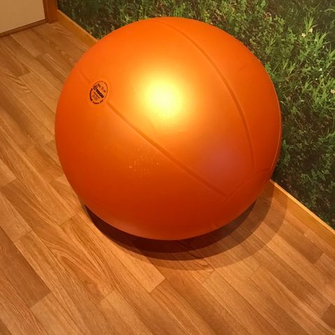 Fitnesball