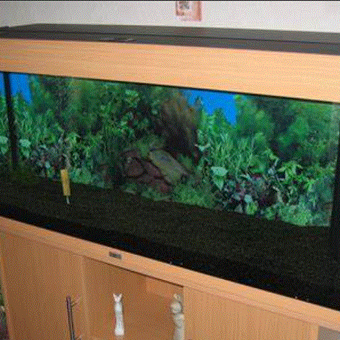 Juwel 240 liter akvarium