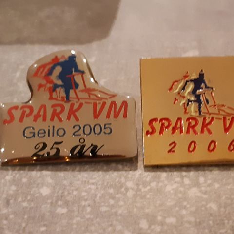 Pins SparkVM Geilo