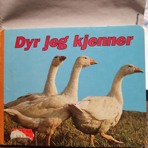 KR 25  DYR JEG KJENNER LITOR 1992