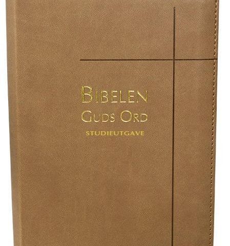 BIBELEN – GUDS ORD / STUDIEUTGAVE – LATTE KUNSTSKINN