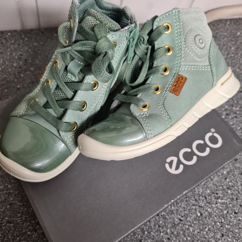 Ecco str 25