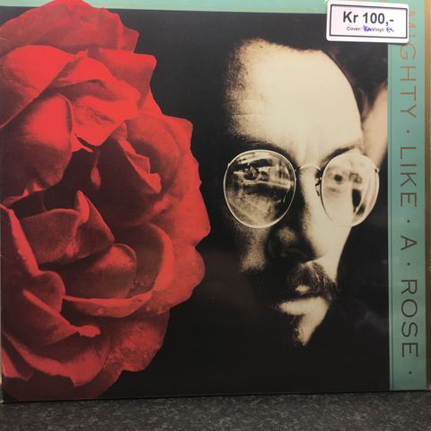 Elvis Costello - Mighty Like A Rose