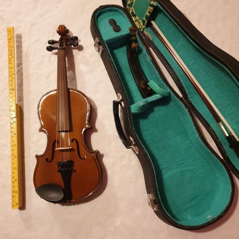 Violin