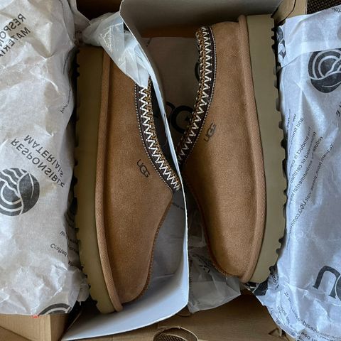 Uggs Tasman