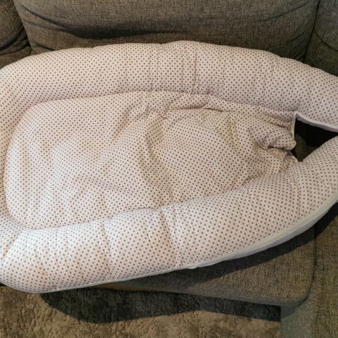 Babynest EB design