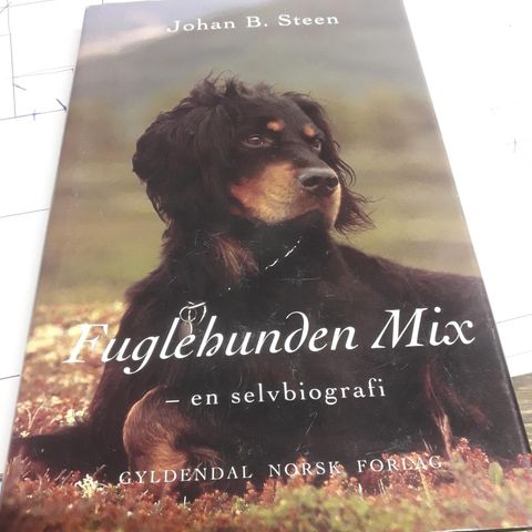 Fuglehunden mix av Johan B. Steen ønskes kjøpt