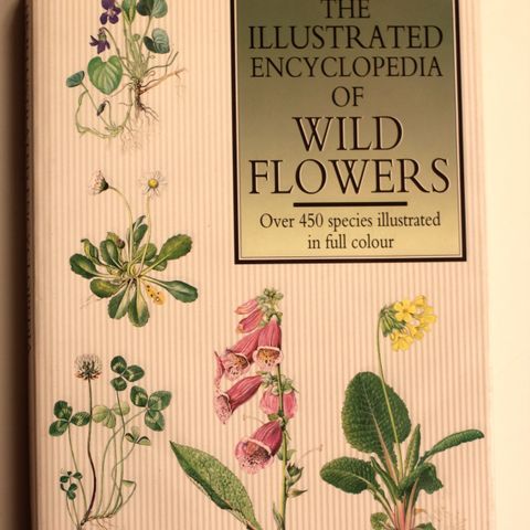 The illustrated encyclopedia of wild flowers